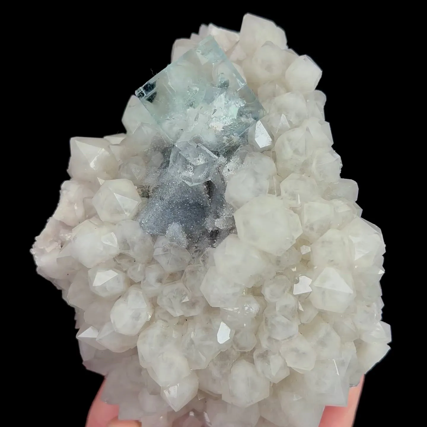 specimen video