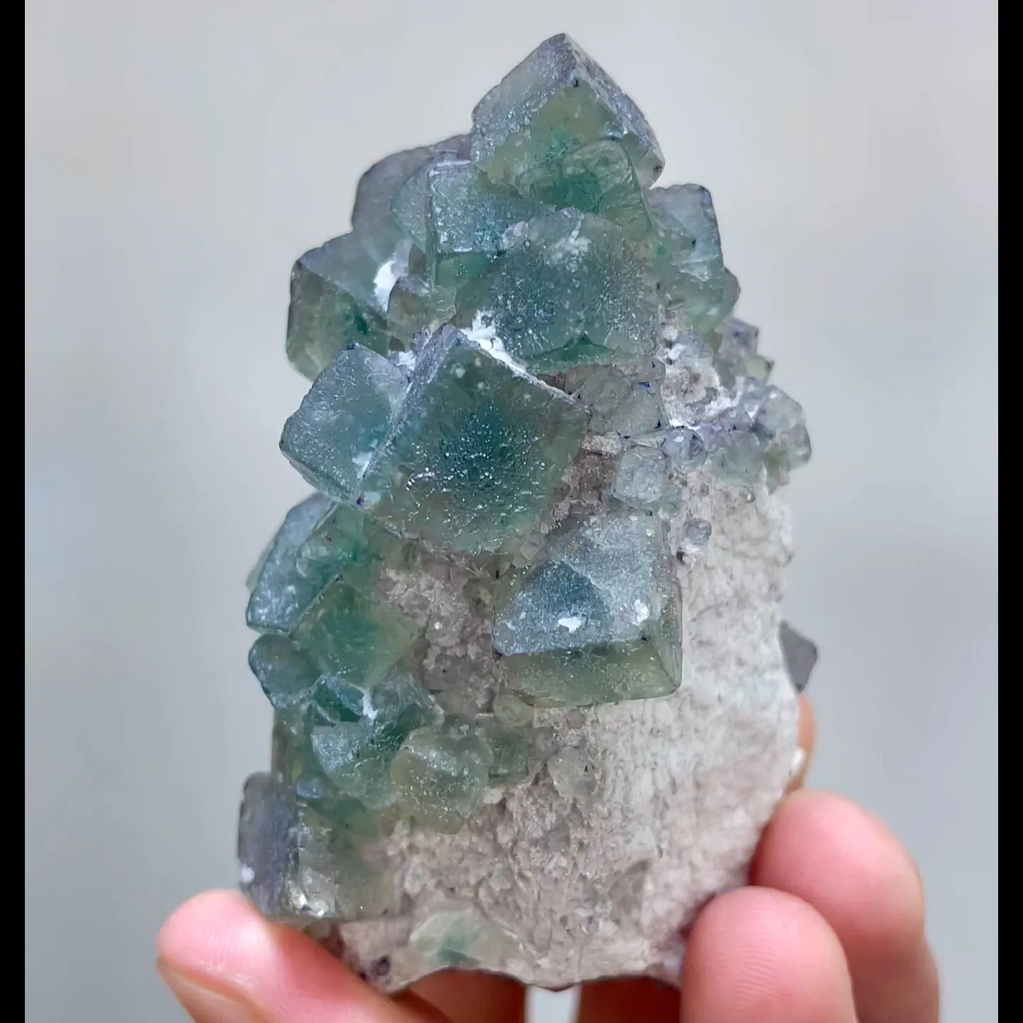specimen video