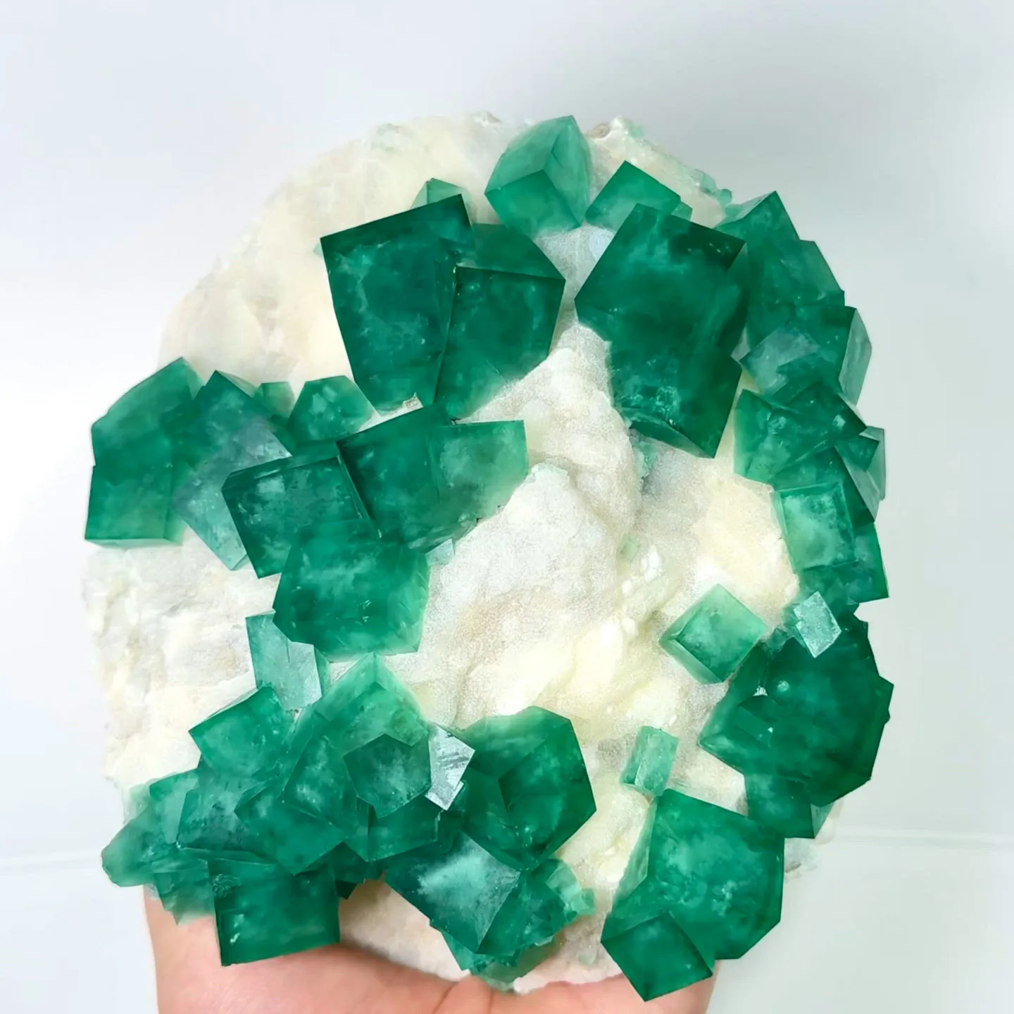 specimen video