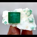 specimen video
