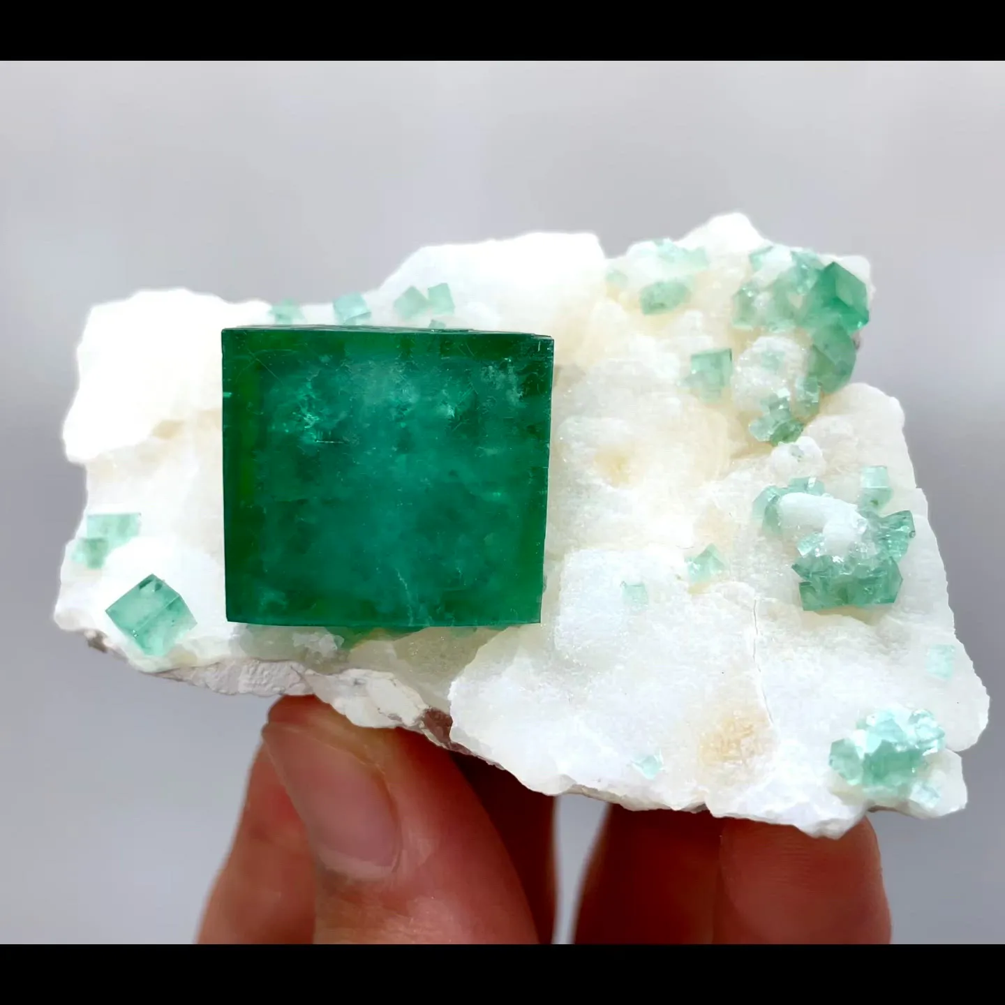 specimen video
