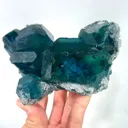 specimen video