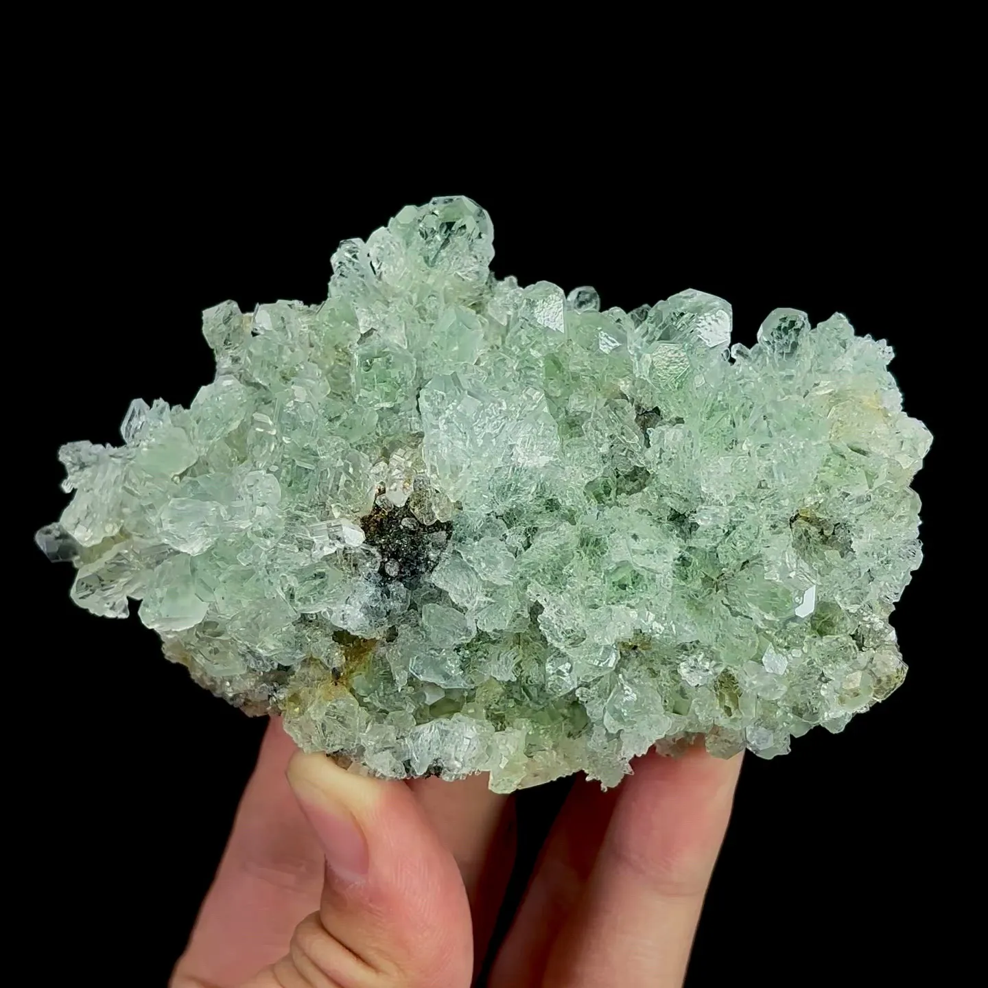 specimen video
