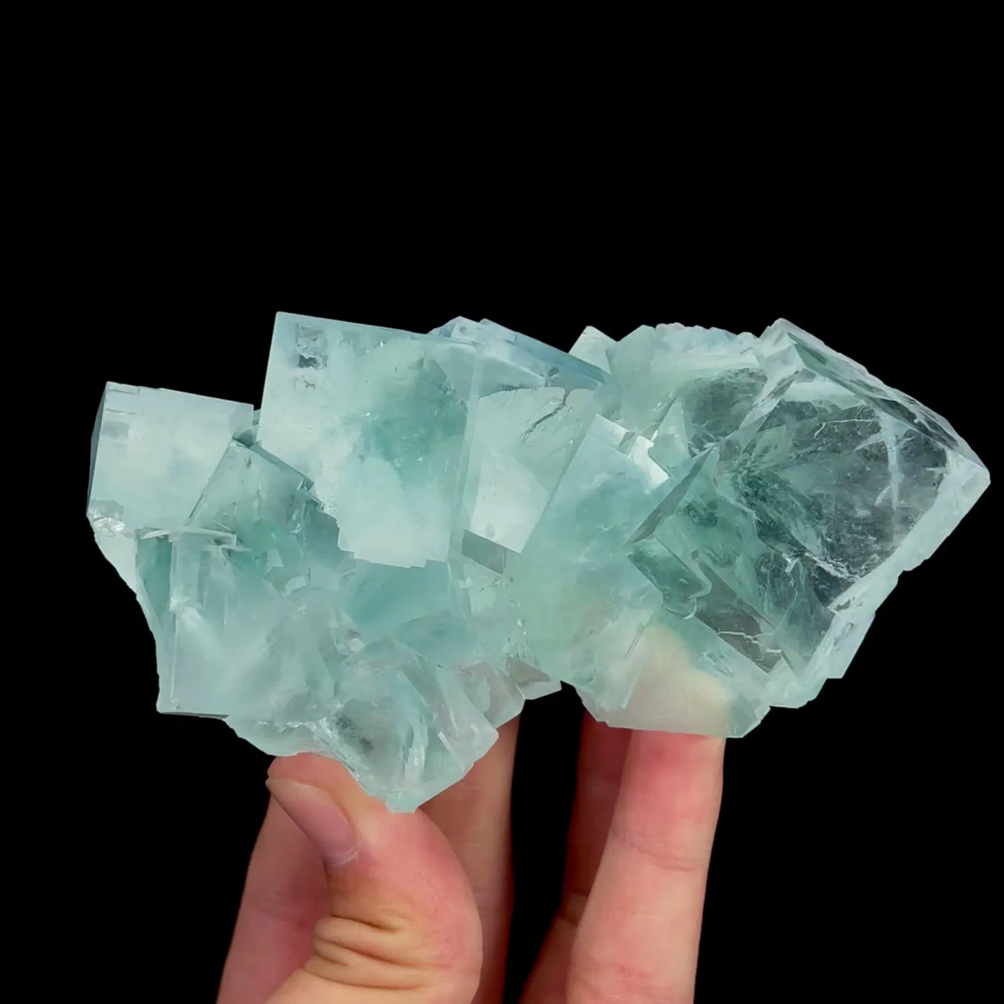 specimen video