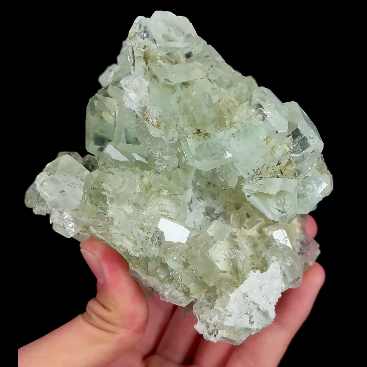 specimen video