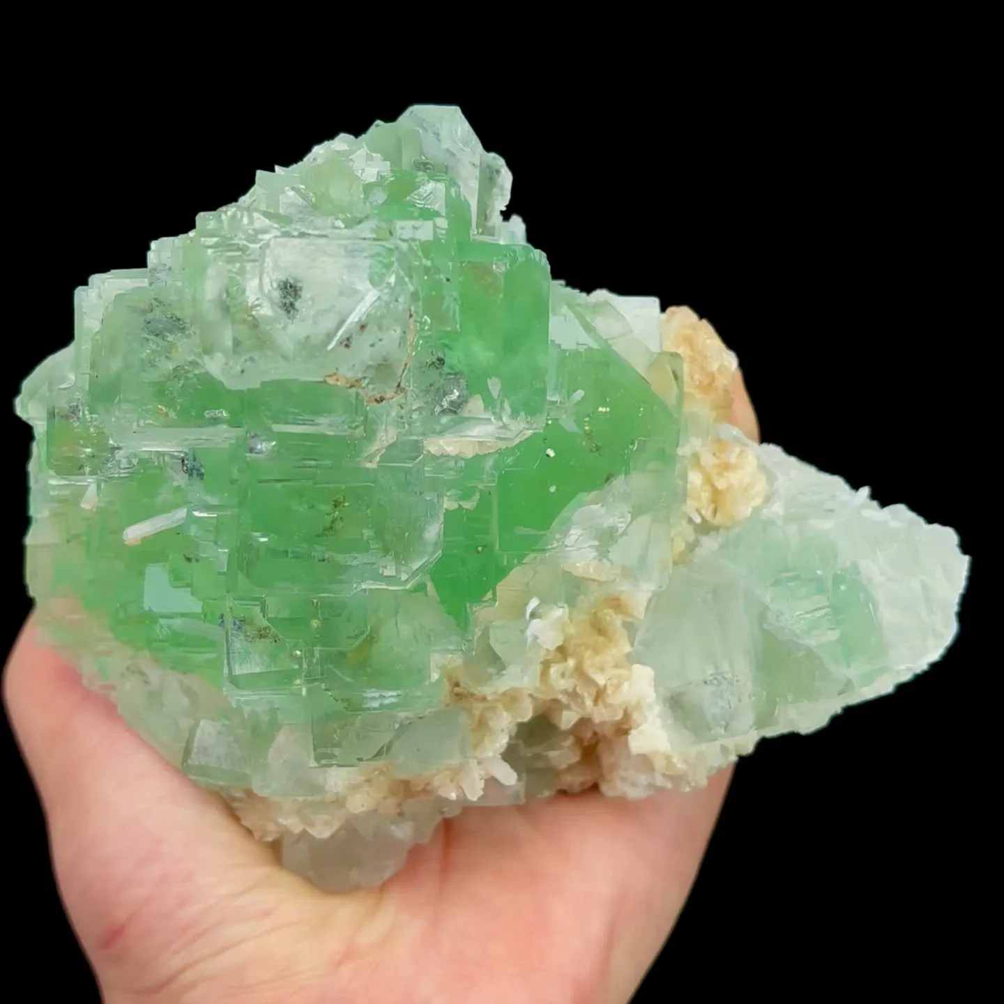 specimen video