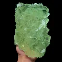 specimen video