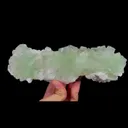 specimen video