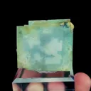 specimen video