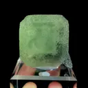 specimen video