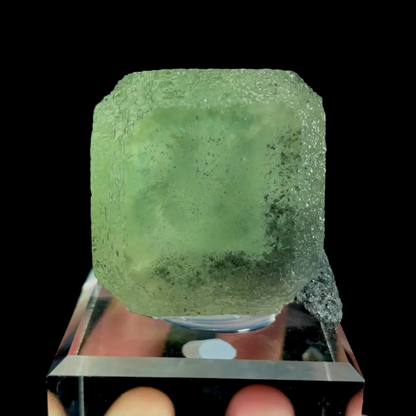 specimen video