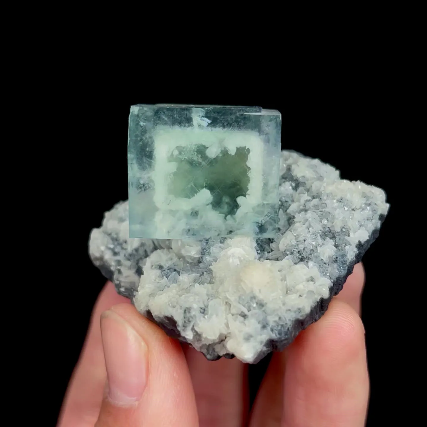 specimen video