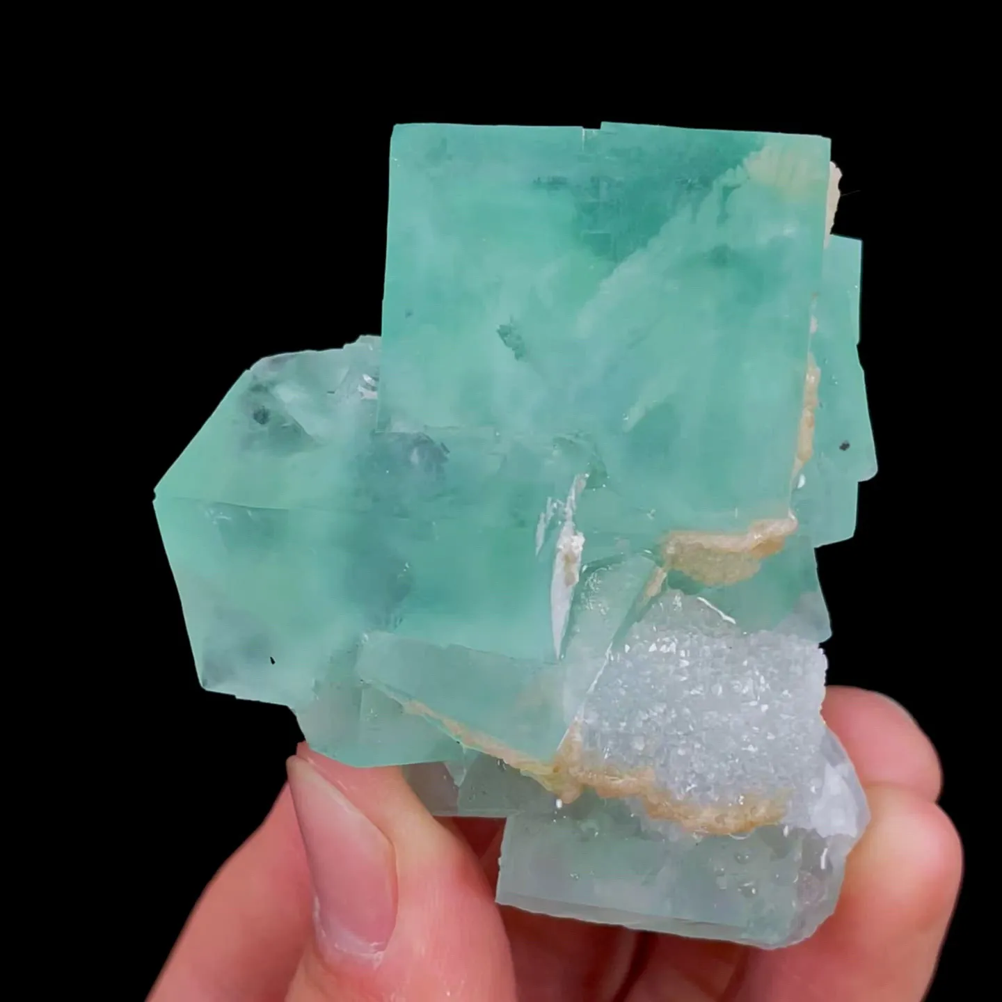 specimen video