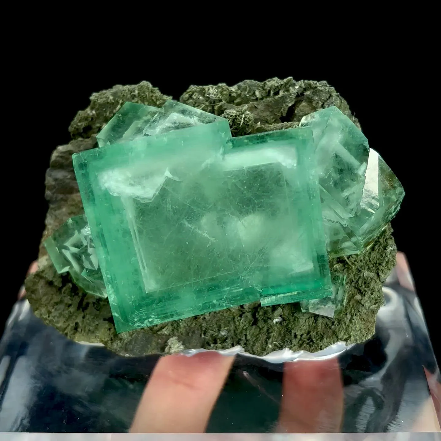 specimen video