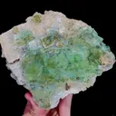 specimen video