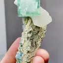 Natural Green Cubic Fluorite and Calcite coexist comes from Xianghualing,Hunan 55*25*75MM - image 4