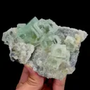 specimen video