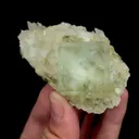 specimen video