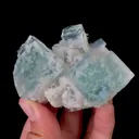 specimen video