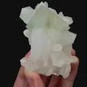 specimen video