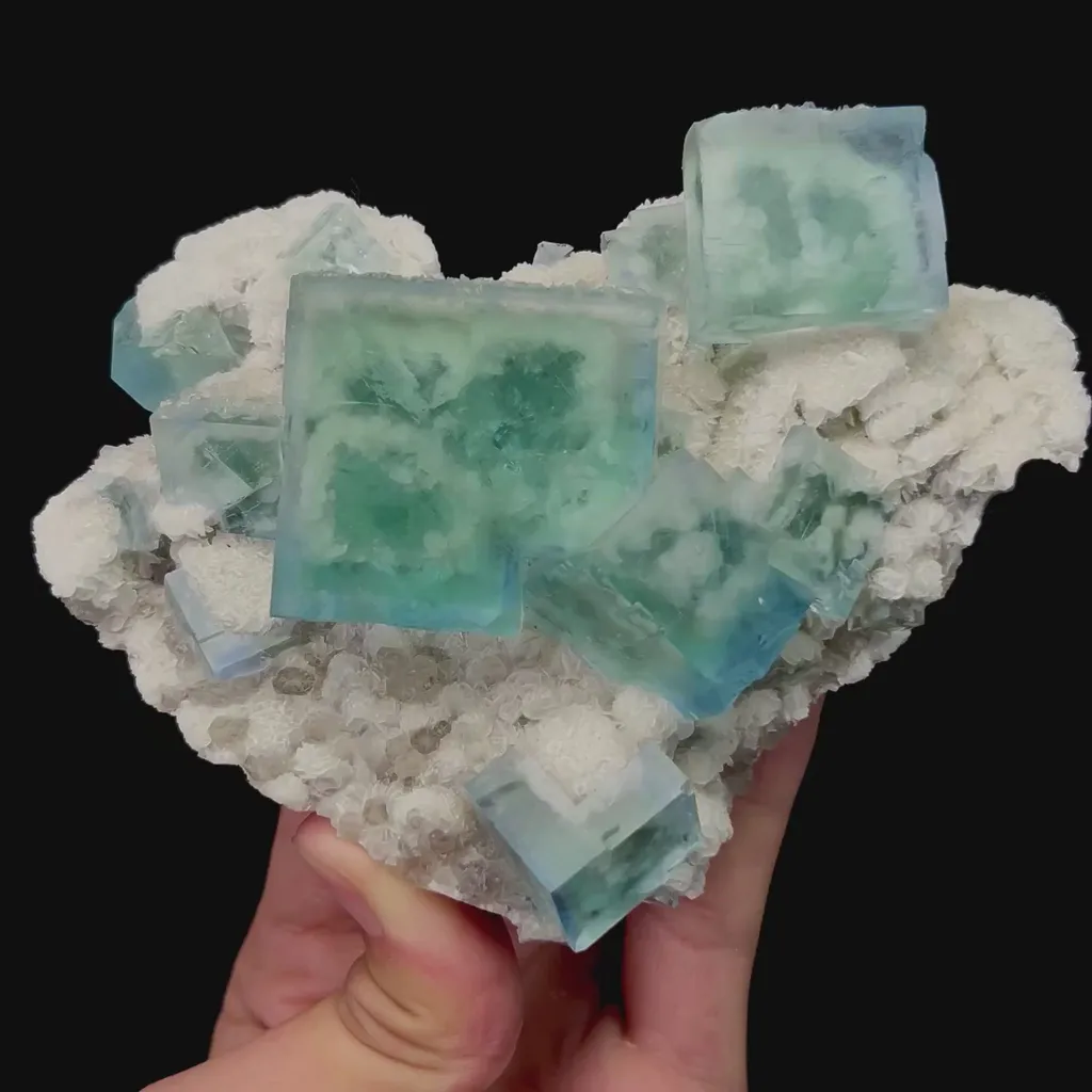 specimen video