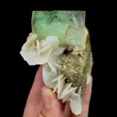 specimen video