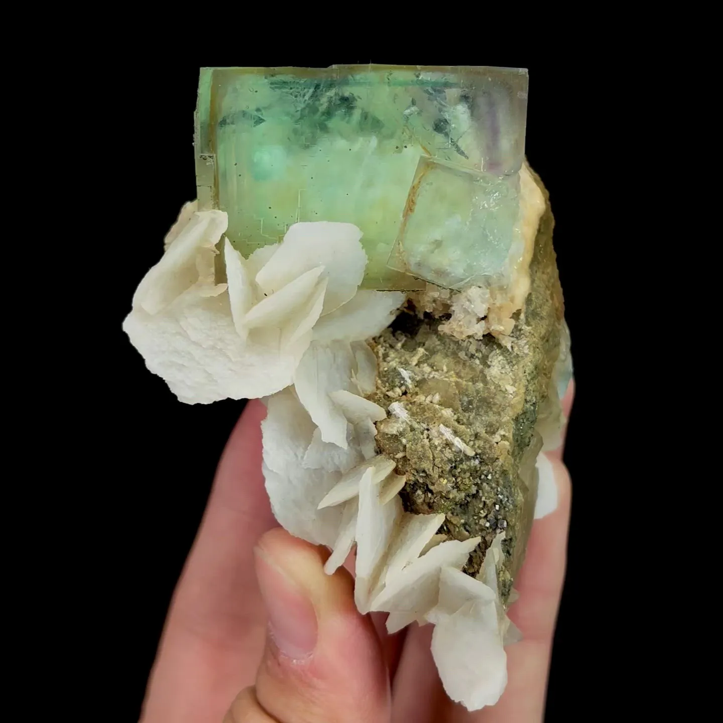 specimen video