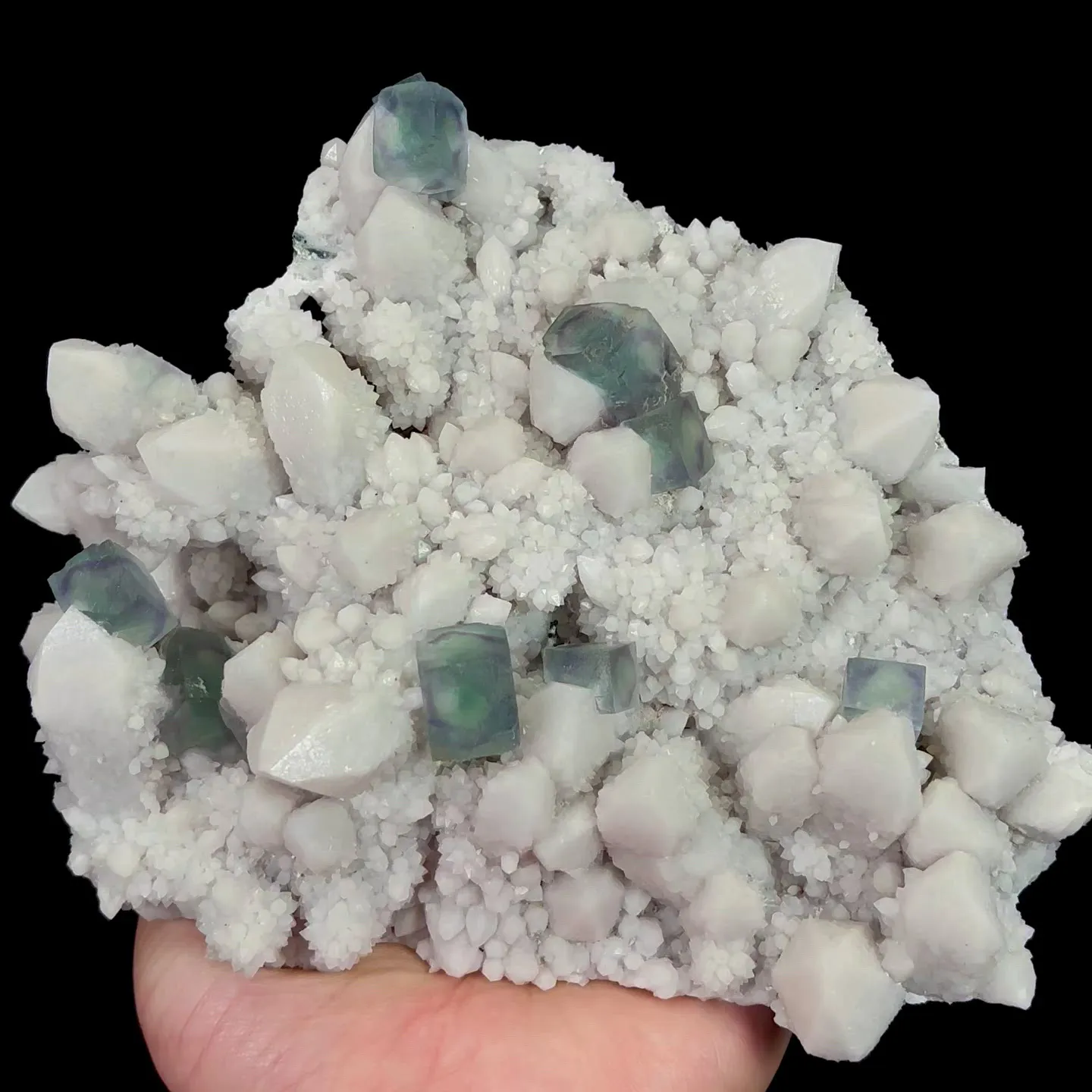 specimen video