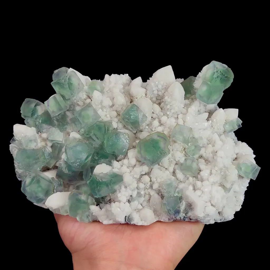 specimen video