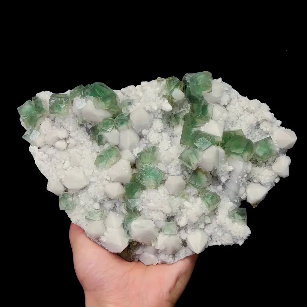 specimen video
