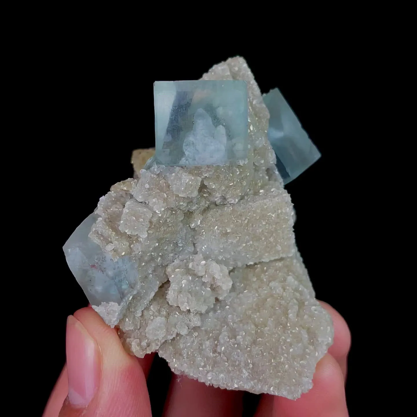 specimen video