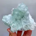 specimen video