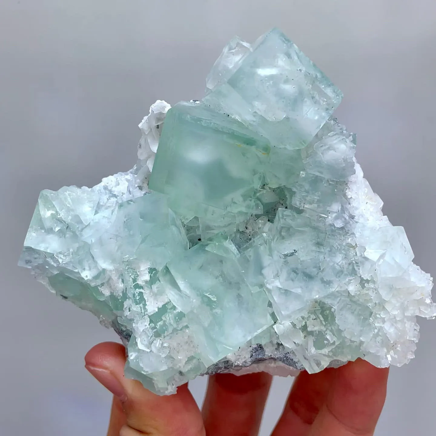 specimen video