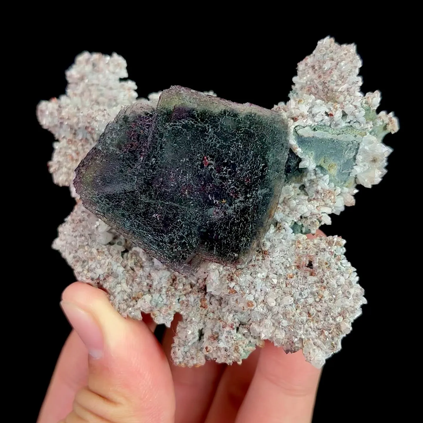 specimen video