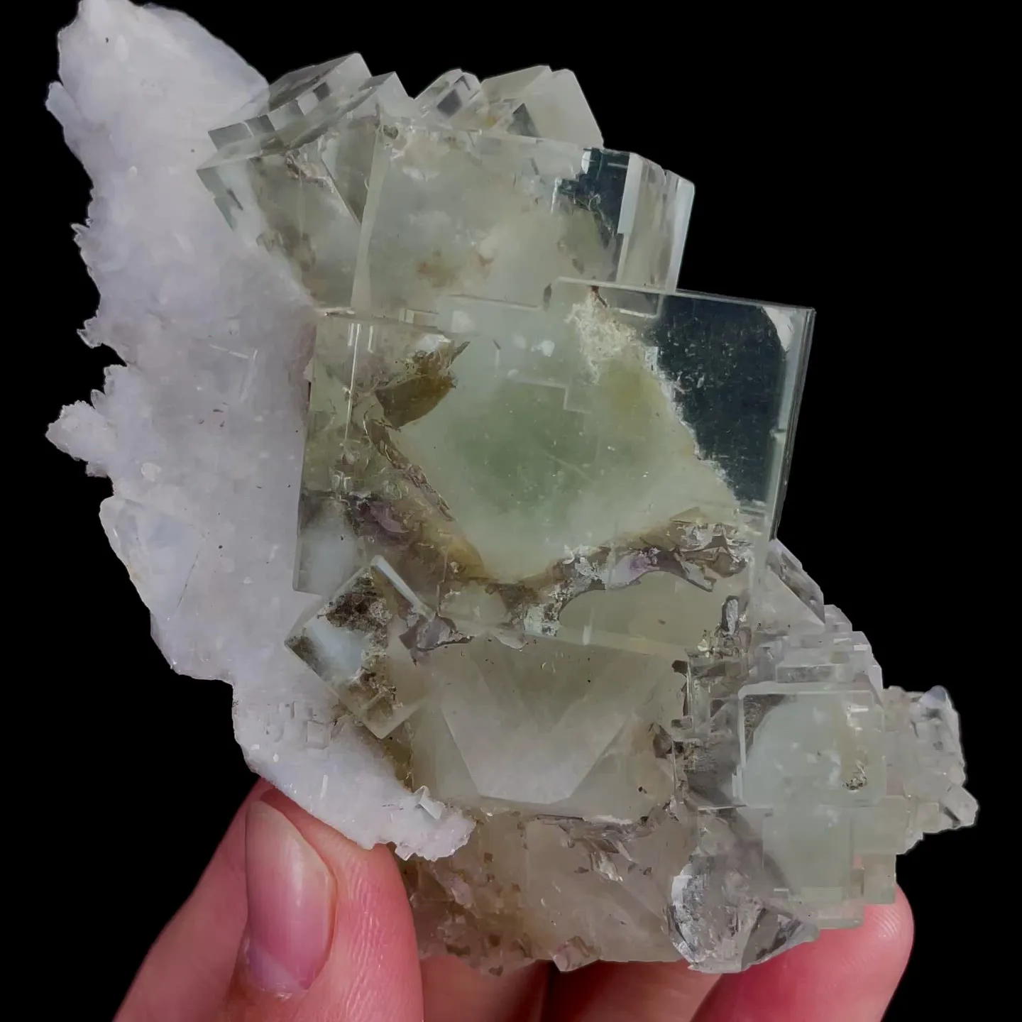 specimen video