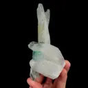 specimen video