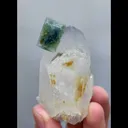 specimen video