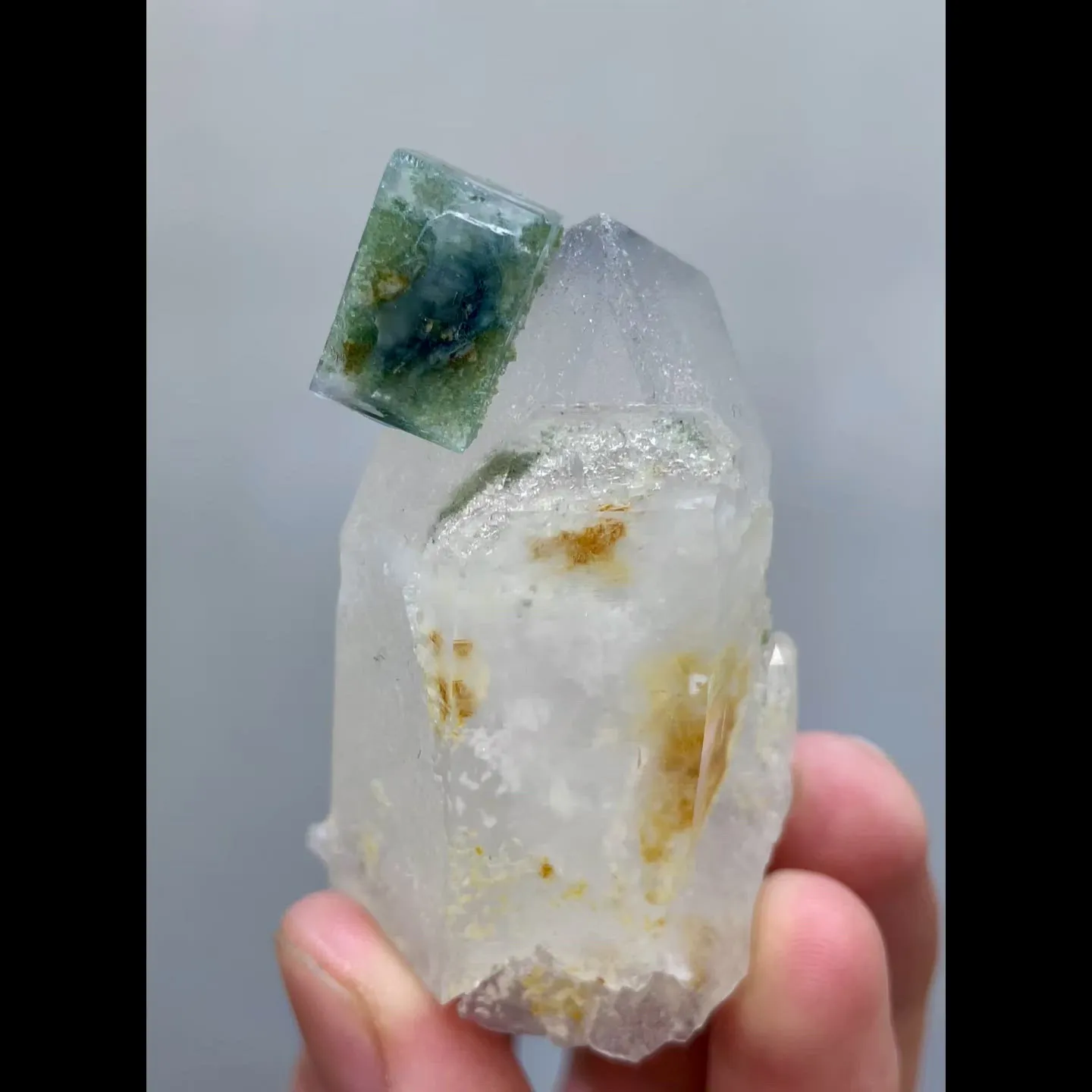 specimen video