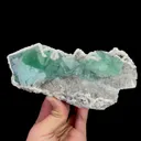 specimen video