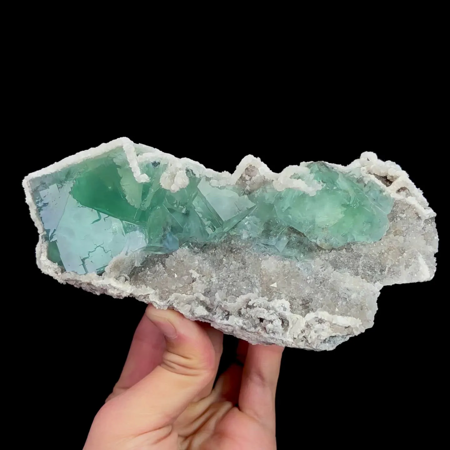 specimen video