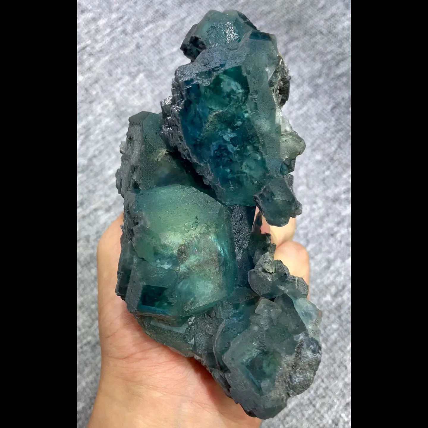 specimen video