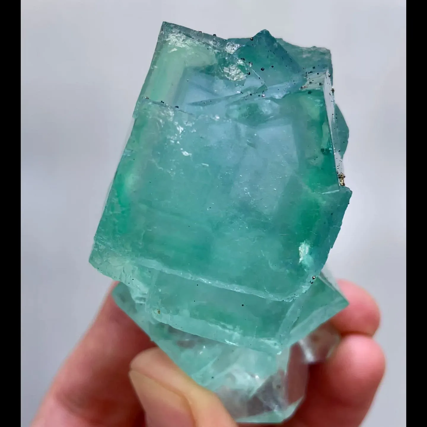 specimen video