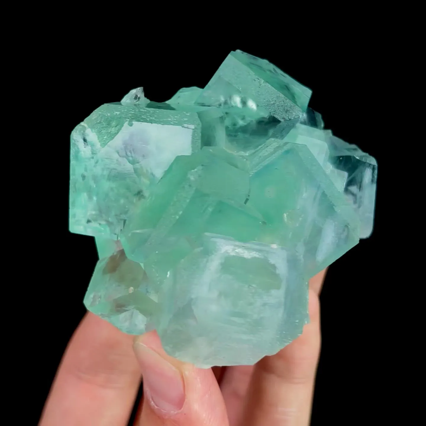 specimen video