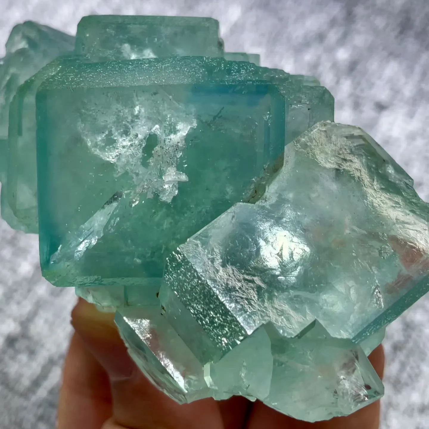 specimen video