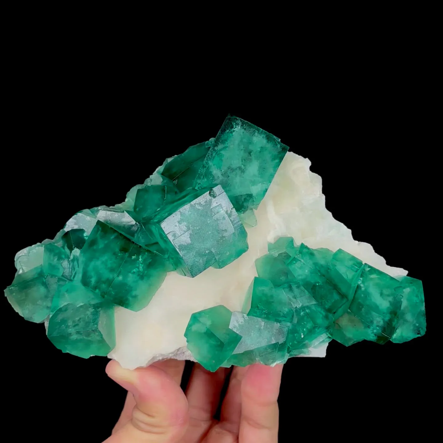 specimen video