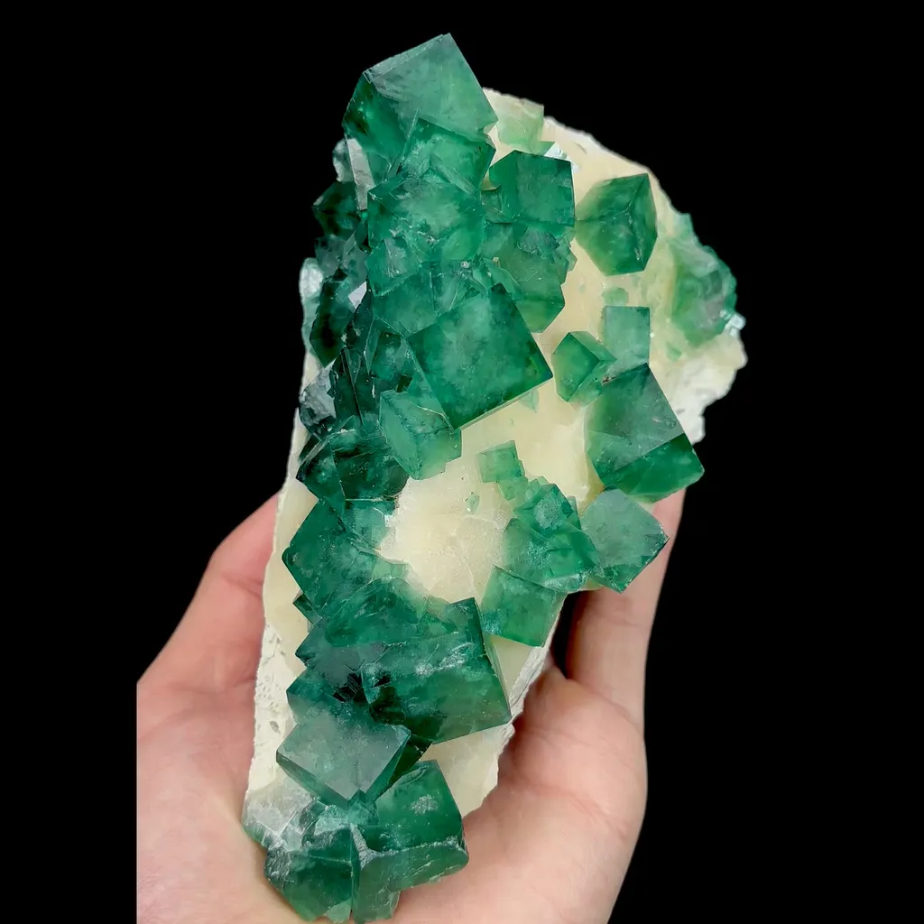 specimen video