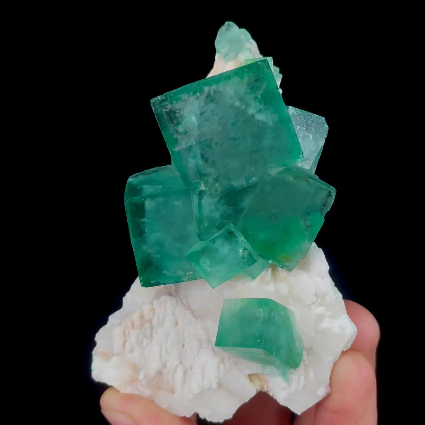 specimen video