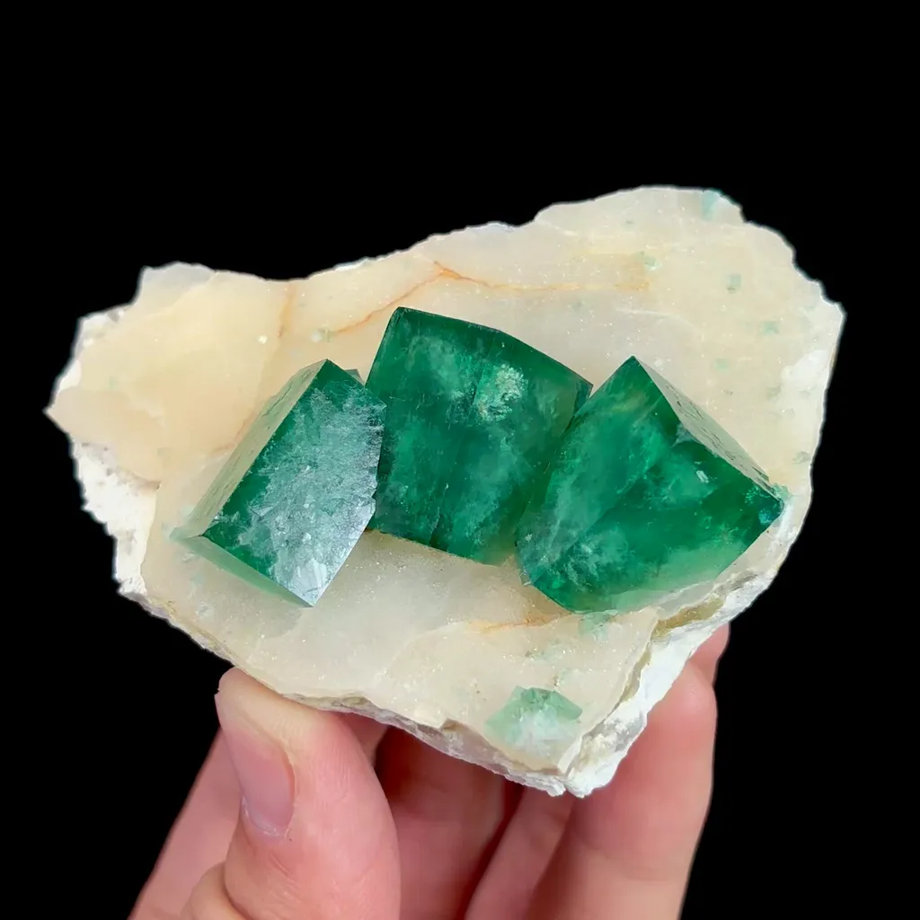 specimen video