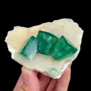 specimen video