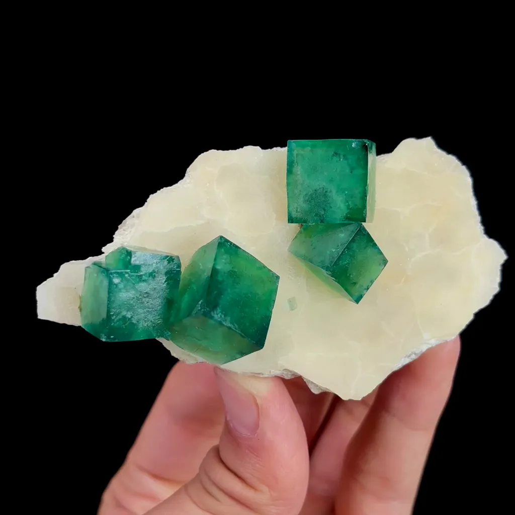 specimen video